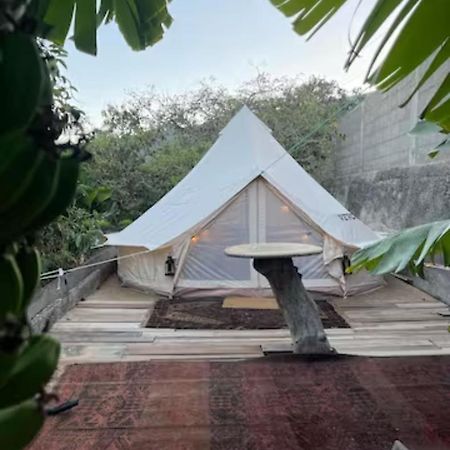 Yurt In Avocado Garden Hotel Güimar Exterior foto