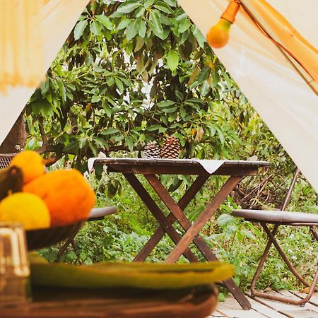 Yurt In Avocado Garden Hotel Güimar Exterior foto