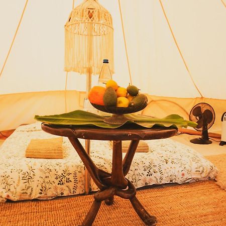 Yurt In Avocado Garden Hotel Güimar Exterior foto