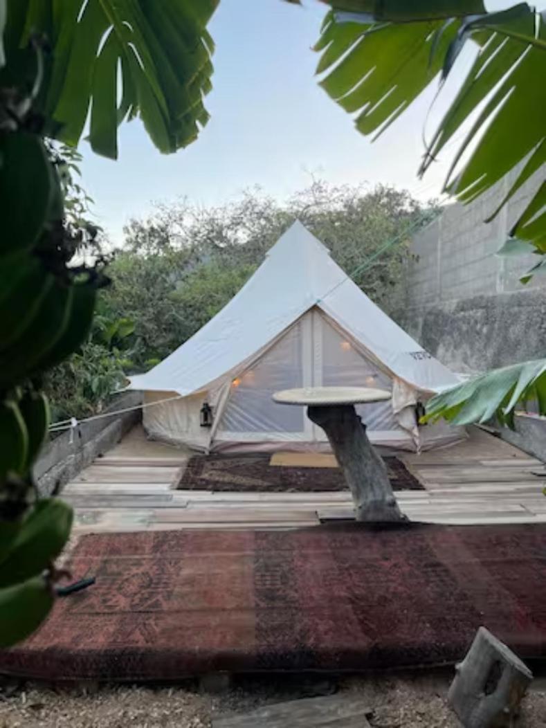 Yurt In Avocado Garden Hotel Güimar Exterior foto